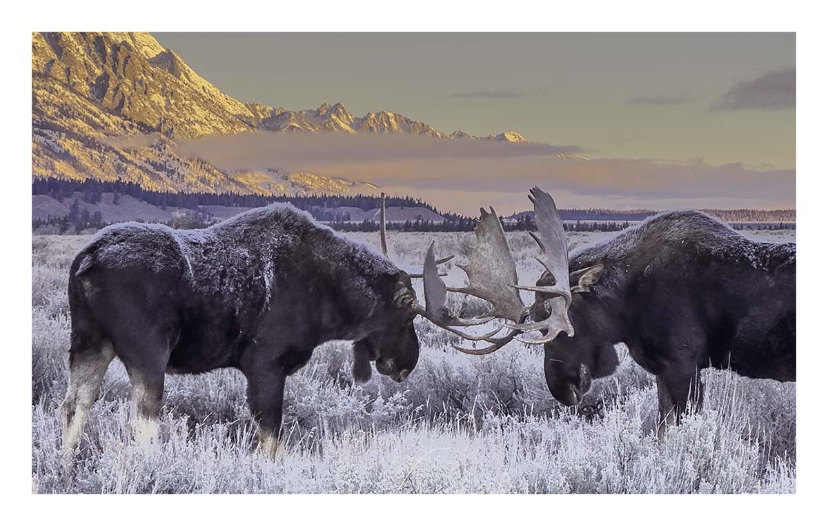 Grand Teton NP